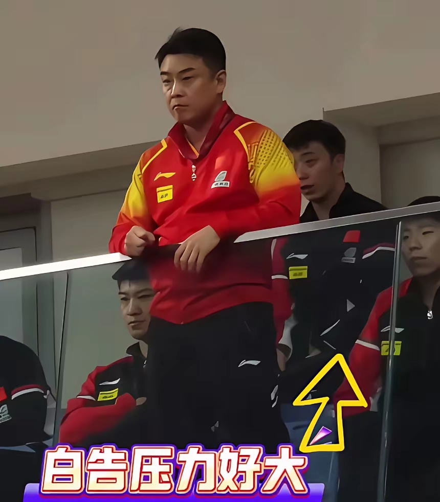 开云平台-德国乒乓球队轻取法国乒乓球队，王皓打破历史纪录的简单介绍