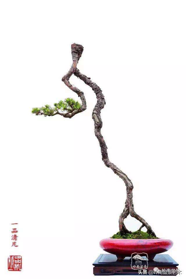 开云体育官方网站-关于柔中带刚！球队技术流畅摧枯拉朽的信息