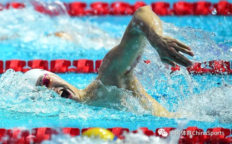 意大利游泳选手冲线夺冠，创造佳绩的简单介绍