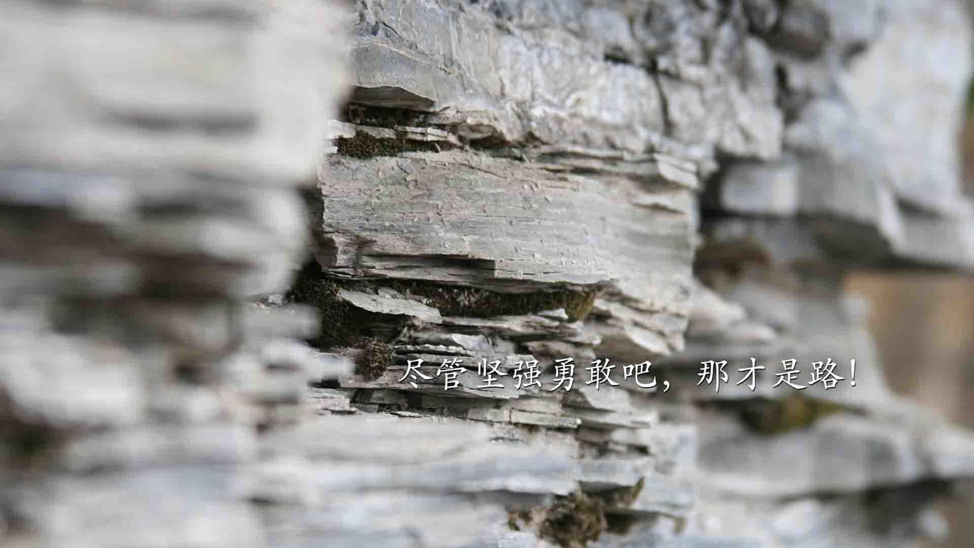 开云体育中国-年度焦点之战之夜，东契奇压力下完成史诗级爆发