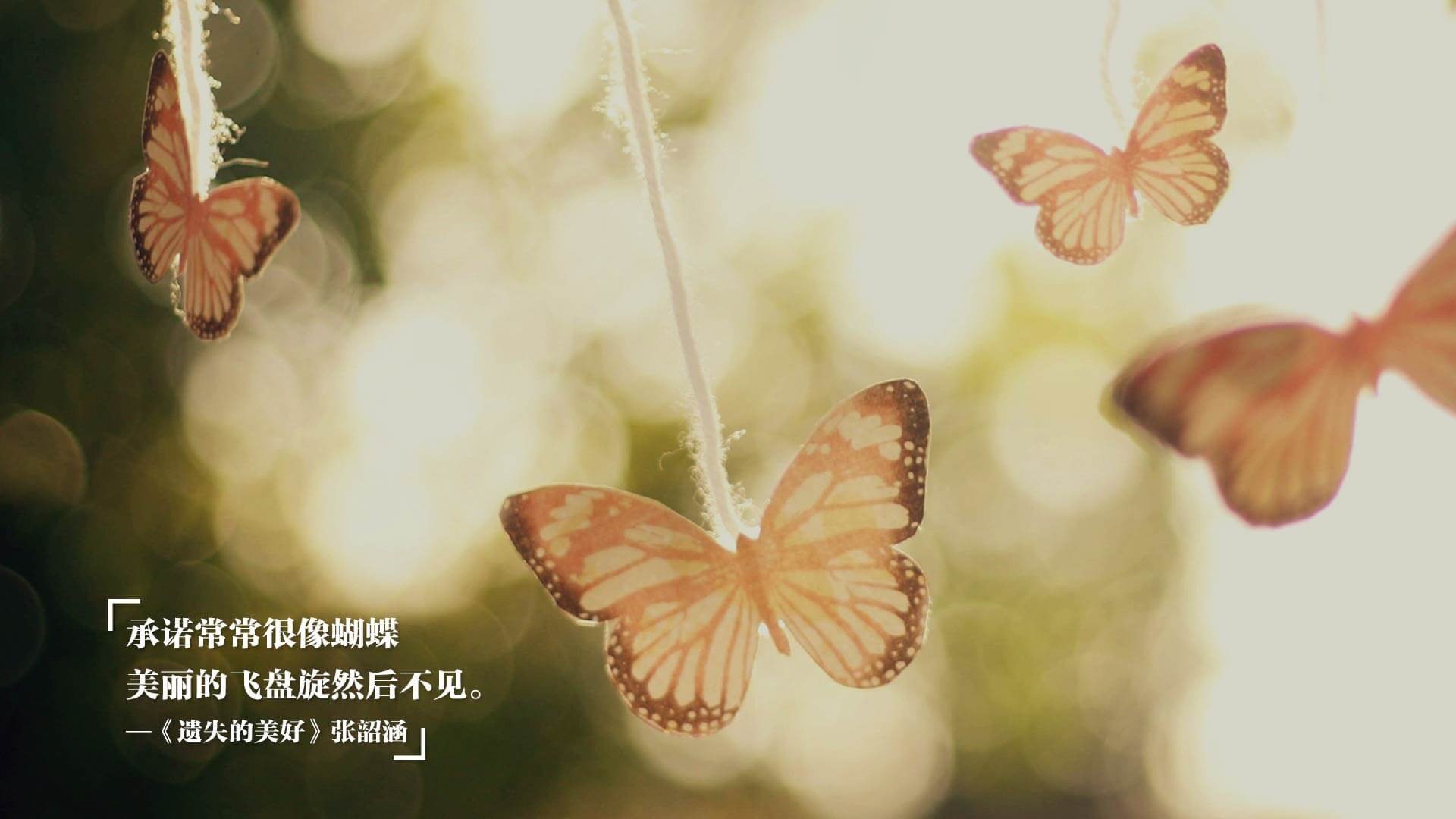 开云平台-约基奇关键回合不手软，独行侠决胜局带走国王，当佛系核心遇上冷血团队